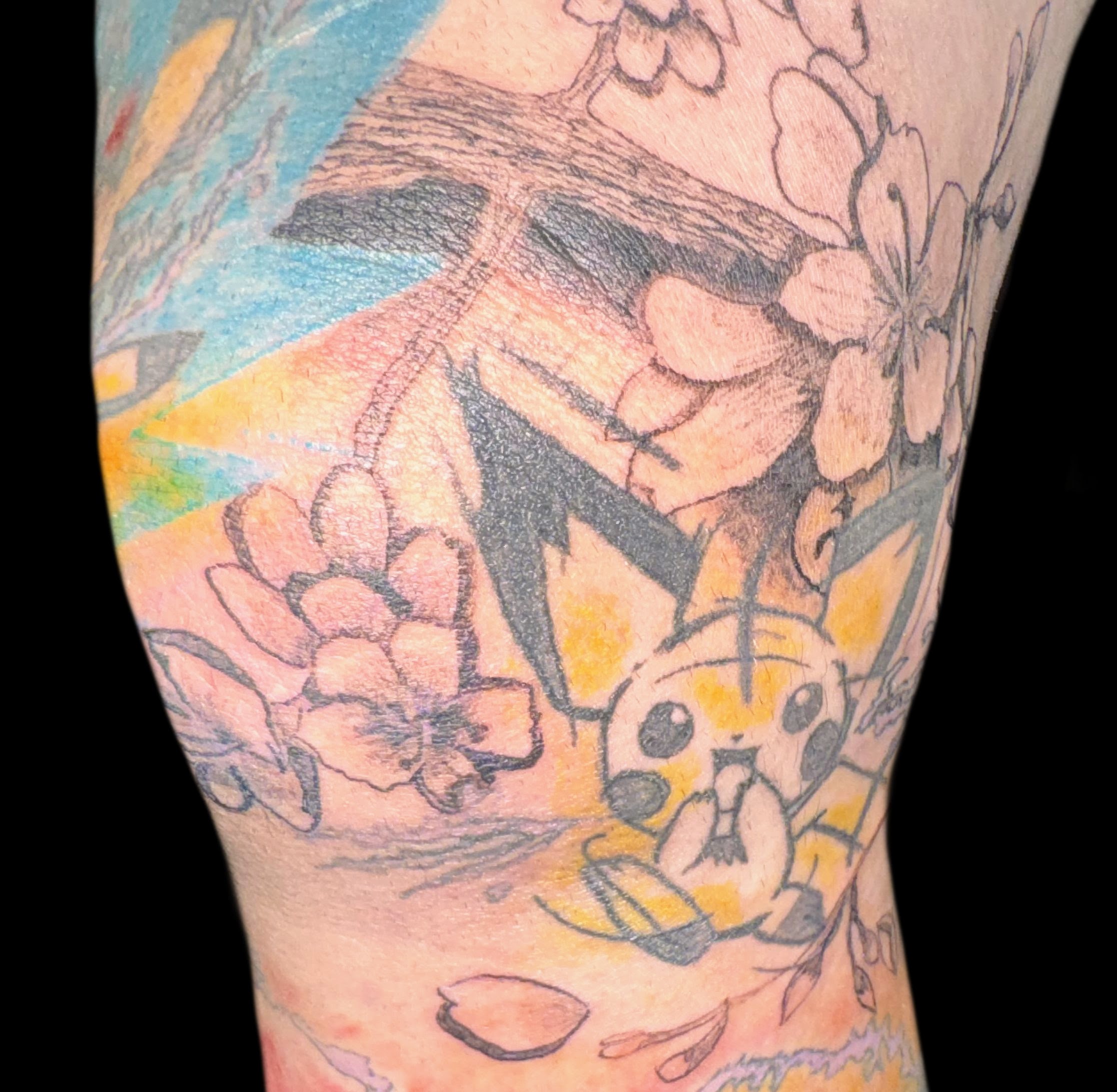 Pichu cherry blossom progress