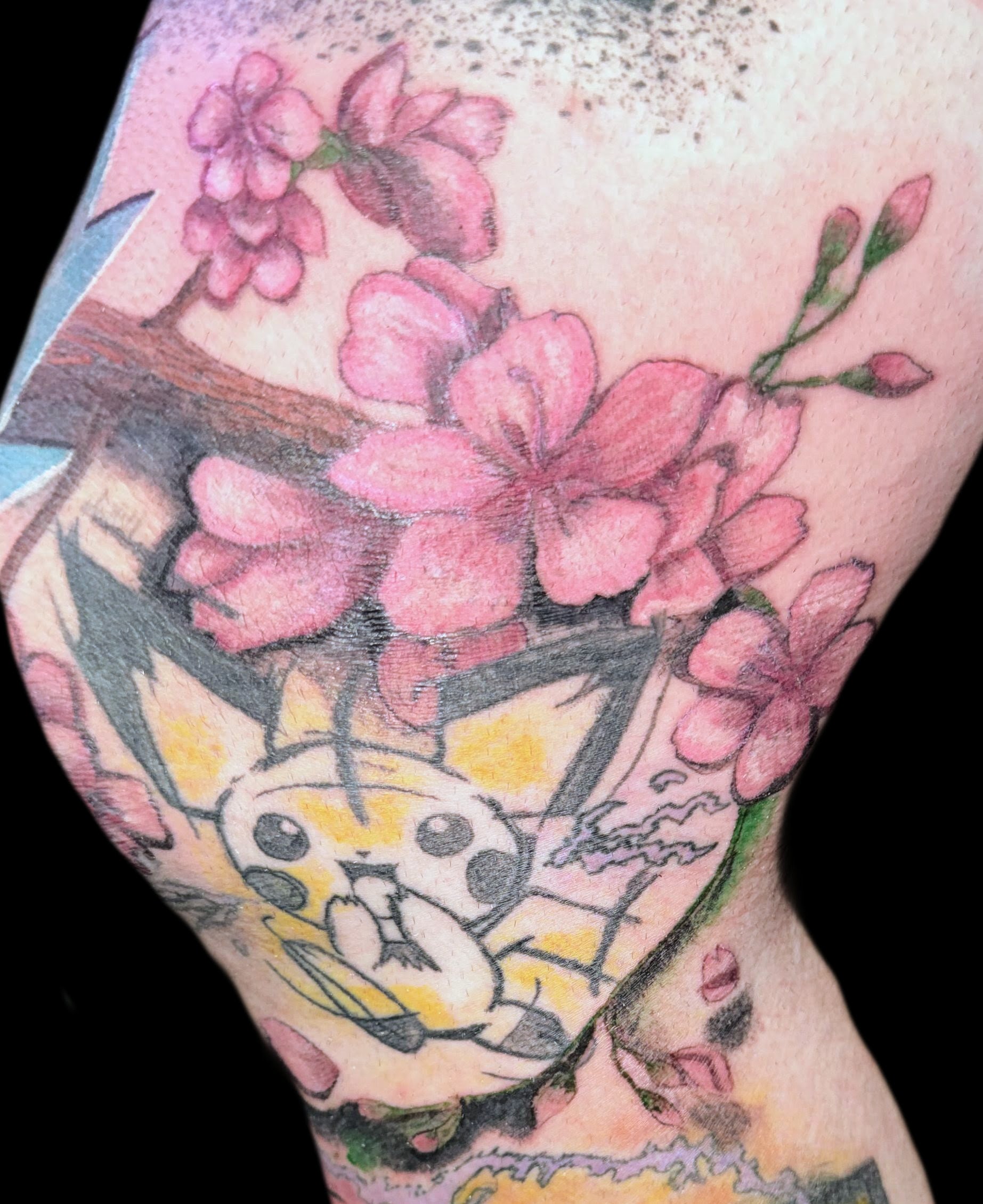 Pichu with watercolor and cherry blossom