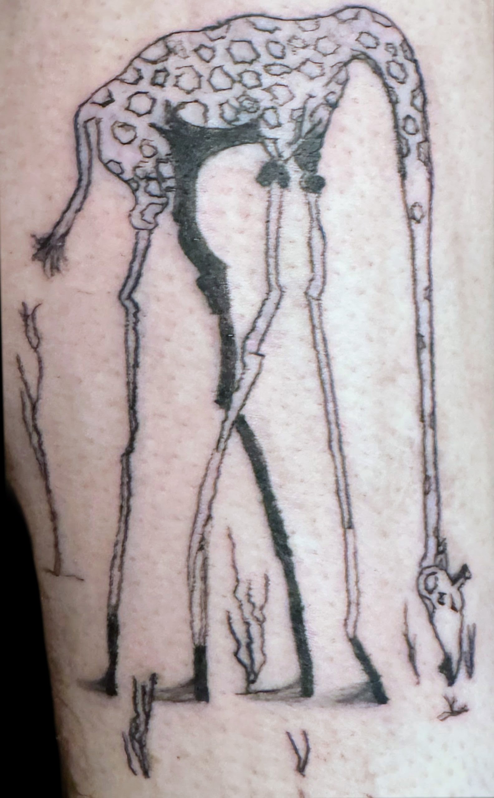 Dali inspired giraffe