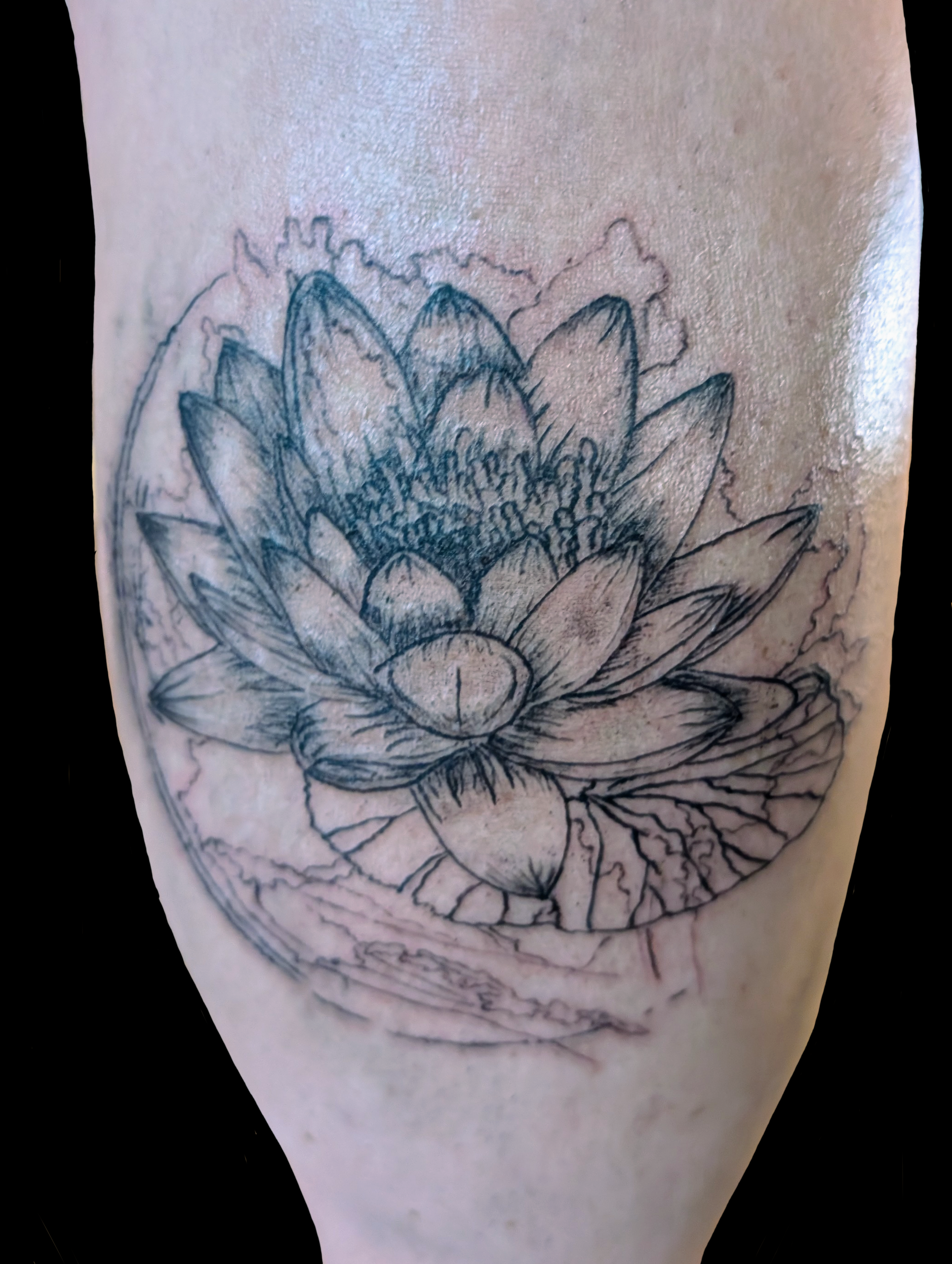 Black Lotus on back of calf